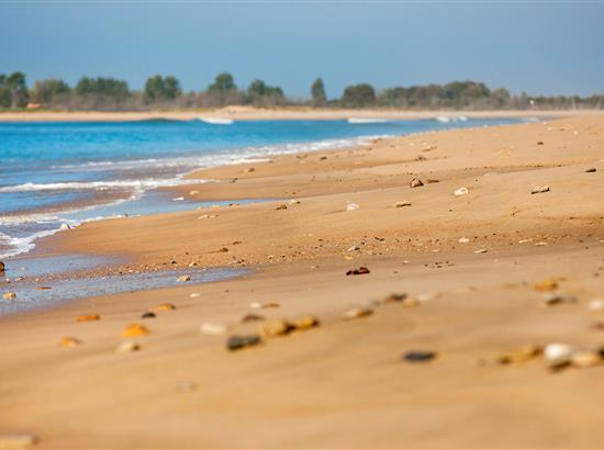 shell and fine sand of vendée - Campsite La Siesta | La Faute sur Mer