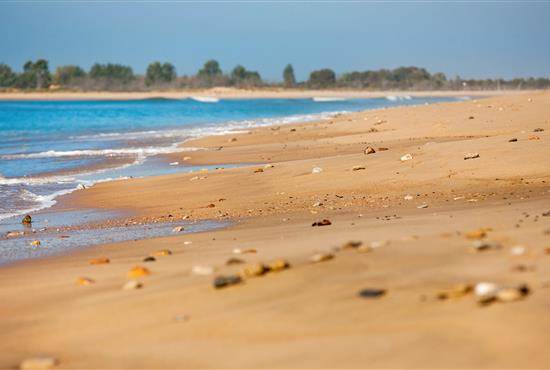 shell and fine sand of vendée - Camping La Siesta | La Faute sur Mer