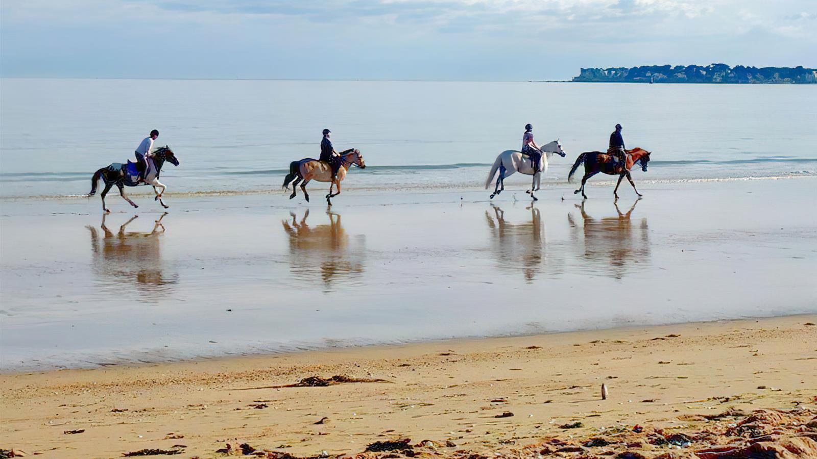 Paseos a caballo cerca de La Tranche Sur Mer - Camping La Siesta | La Faute sur Mer