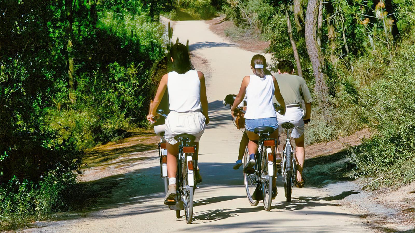 Paseos y rutas de senderismo en bicicleta y a pie cerca del Camping La Siesta - Camping La Siesta | La Faute sur Mer