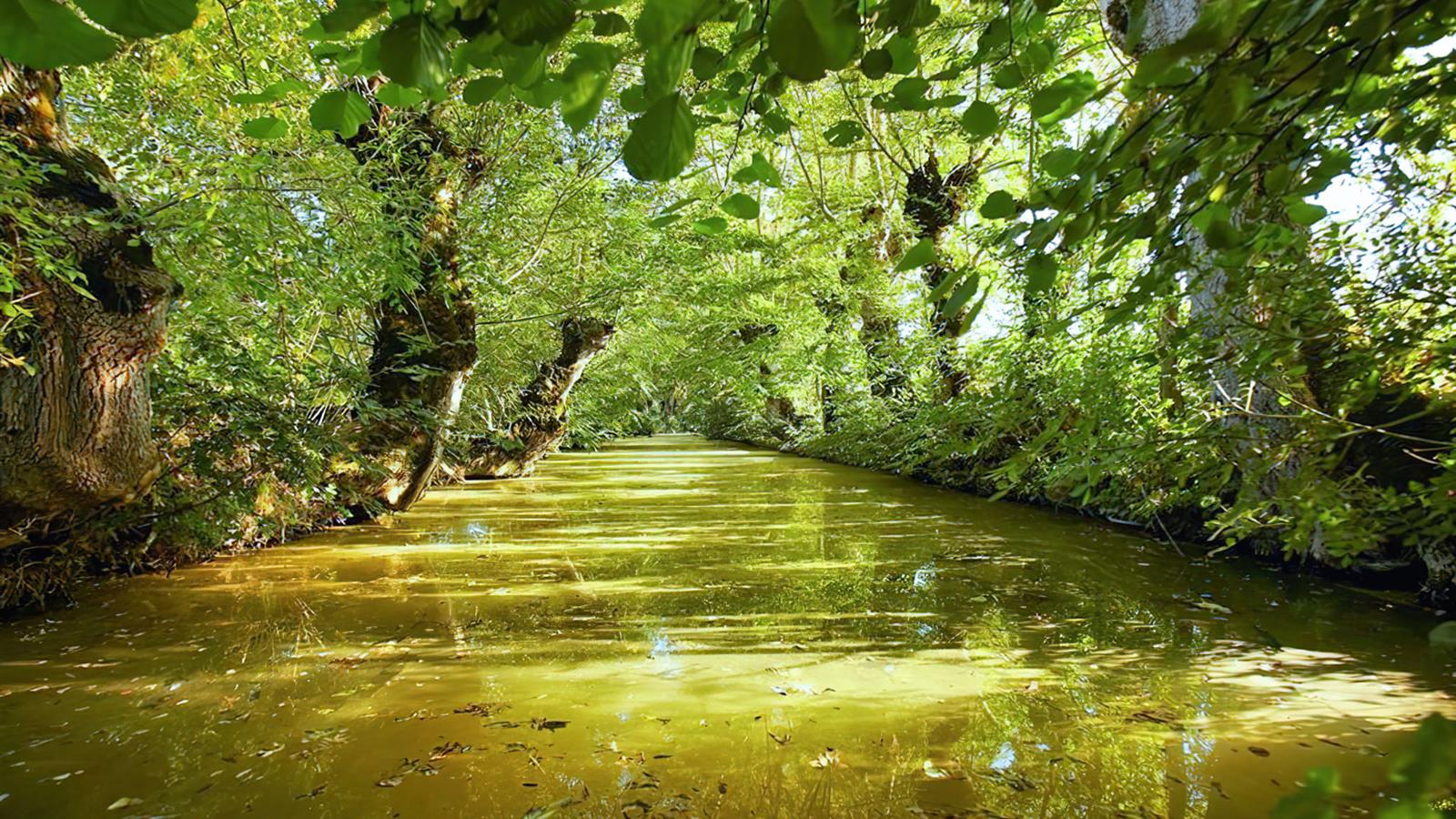 Marais Poitevin cerca de La Faute sur Mer - Camping La Siesta | La Faute sur Mer